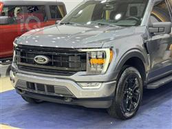 فۆرد F-150